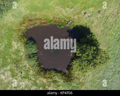 Fotografía aérea de un estanque en Cheshire, Reino Unido