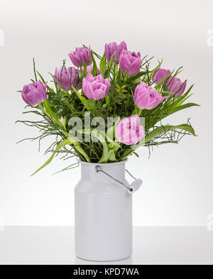 Tulipanes rosa y púrpura en una jarra de leche blanca sobre un fondo blanco Foto de stock