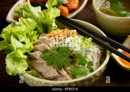 Bihun Bebek, un chino Peranakan sopa de fideos de arroz con carne de pato Foto de stock