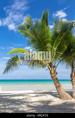 Palmeras en la hermosa playa tropical en la isla de Koh Kood, en Tailandia