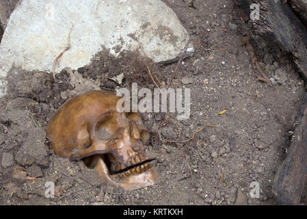 Cráneo humano enterrado con una lápida en segundo plano. Foto de stock