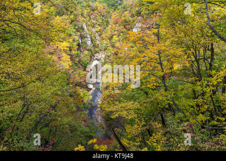 Naruko canyon en otoño bosque Foto de stock