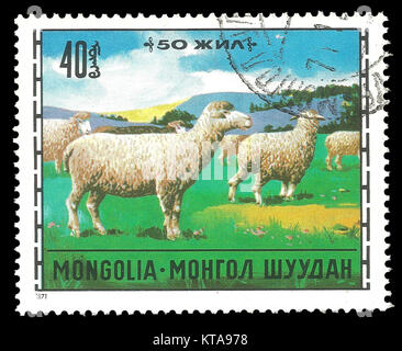 Mongolia - Sello 1971: edición de color sobre el tema de la cría de animales domésticos, muestra las ovejas Ovis ammon aries
