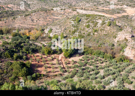 Vista aérea de las zonas áridas arenosas tierras andaluzas con olivos y árboles de roca en españa Foto de stock