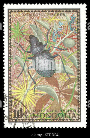 Sello impreso por Mongolia, Color Edition dedicado a bugs, muestra Fischer Caterpillar Hunter, circa 1972 Foto de stock