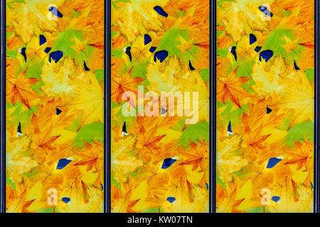 Imagen de un vitral con motivos de otoño en tonos amarillos para utilizar como fondo.
