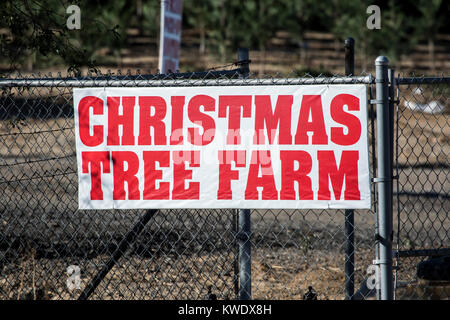 Christmas tree farm firmar en el sur de California, EE.UU. Foto de stock