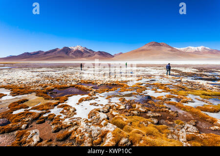 Laguna Honda es un lago de sal en el altiplano de Bolivia Foto de stock