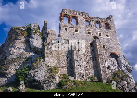 Castillo de Ogrodzieniec Podzamcze village, parte de los nidos de águilas castillo sistema en voivodato de Silesia sur de Polonia. Foto de stock