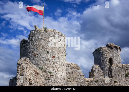 Torre del Castillo de Ogrodzieniec Podzamcze village, parte de los nidos de águilas castillo sistema en voivodato de Silesia sur de Polonia. Foto de stock