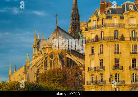 Arquitectura de París, el extremo oriental de la catedral de Notre Dame, junto a un típico edificio del siglo XIX en la Ile de la Cite en París, Francia.