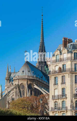 Notre Dame de París, vista de la torre y el techo situado en el extremo oriental de la Catedral de Notre Dame, Ile de la Cité, París, Francia.