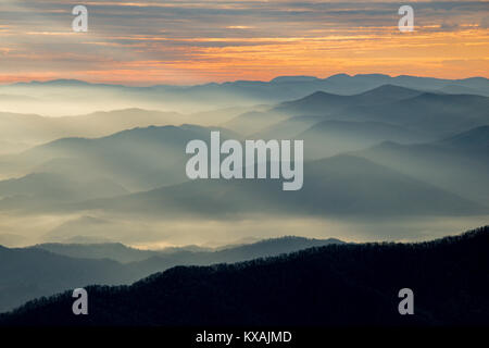 Amanecer neblinoso, Clingman's Dome, Great Smoky Mountains NP, Tennessee, Carolina del Norte, EE.UU. por Bill Lea/Dembinsky Foto Assoc Foto de stock