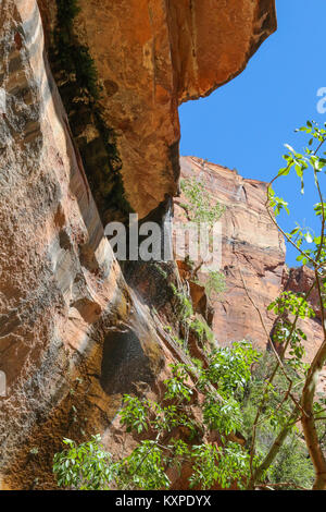 Un acantilado de piedra arenisca en la Emerald Pools Trail en el Cañón Zion Foto de stock