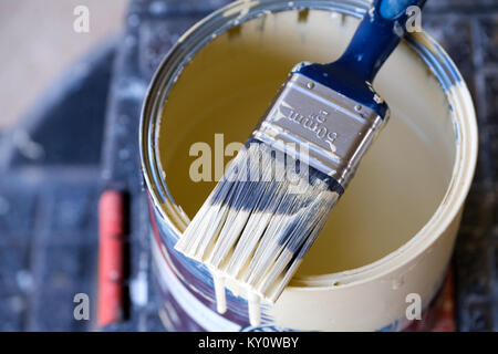 Utiliza una media lata de pintura mural del hogar con un pincel tumbado en la parte superior de él. El cepillo está parcialmente cubierto en pintura húmeda