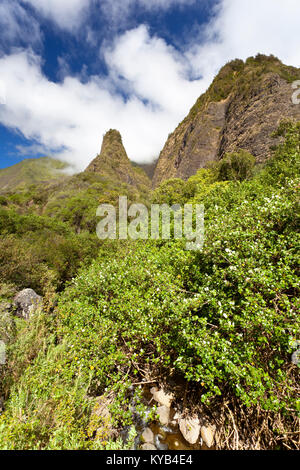 El famoso Iao aguja en la IAO Valley State Park en Maui, Hawaii. Foto de stock