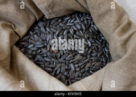 Semillas de girasol. Semillas de girasol crudas sin pelar en un saco. Libre  de Gluten. El aceite de girasol Fotografía de stock - Alamy