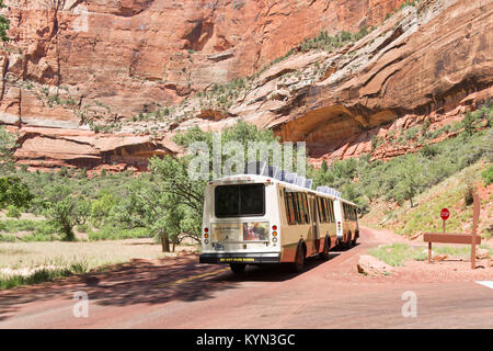 Springdale, Utah, EE.UU. - Junio 3, 2015: El Parque Zion Bus transporta turistas dentro del parque en el Lodge. Parque Nacional de Zion, Utah. Foto de stock