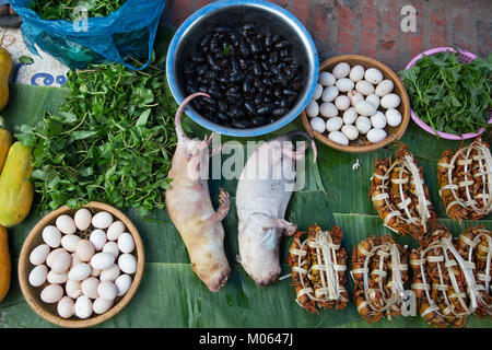 Las ratas, cangrejos, escarabajos y huevos en el mercado matinal en Luang Prabang, Laos
