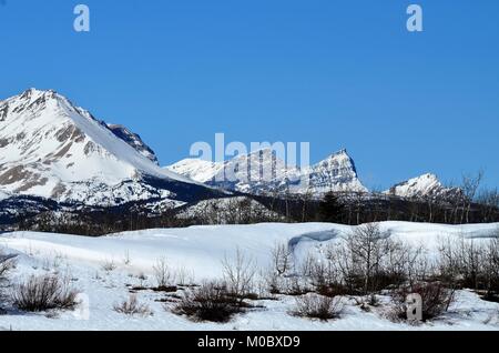 Una maravillosa escena de invierno con montañas cubiertas de nieve en el fondo Foto de stock