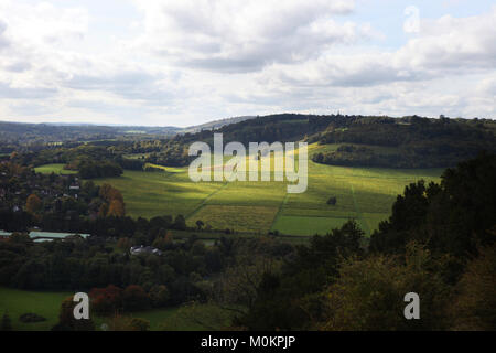 Denbies Wine Estate en otoño cerca de Dorking, Surrey, Inglaterra, Gran Bretaña