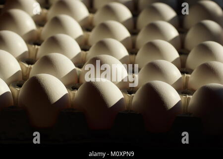 Patrón de repetición. Juego de sombras. Huevo en una bandeja de huevos. Foto de stock