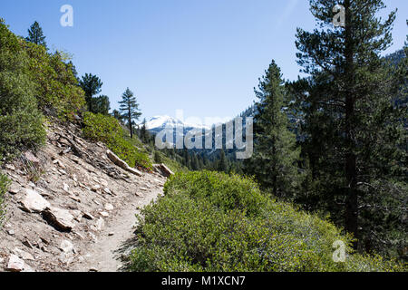 Hiking Trail en Ansel Adams wilderness en la Sierra Nevada en otoño Foto de stock