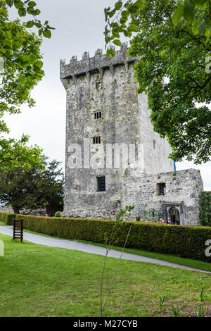 Castillo Blarney y jardines, Condado de Cork, Irlanda Foto de stock