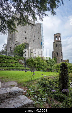 Castillo Blarney y jardines, Condado de Cork, Irlanda Foto de stock