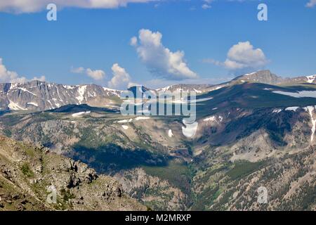 Custer Gallatiine Forrest nacional