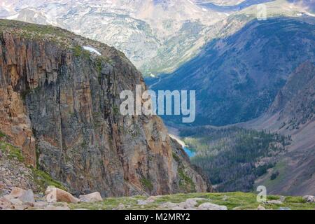 Custer Gallatiine Forrest nacional
