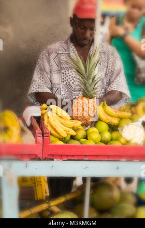 Plantas para la venta en el mercado de Jamaica en la Ciudad de México DF  Fotografía de stock - Alamy