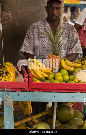 Plantas para la venta en el mercado de Jamaica en la Ciudad de México DF  Fotografía de stock - Alamy