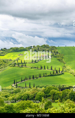 Camino sinuoso en una colina en la Toscana, Italia Foto de stock