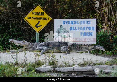 Visualización divertida posando "No nadar' firmar con alligator estatua visto en paseo en lancha en Everglades Alligator Farm, en el sur de la Florida. Foto de stock