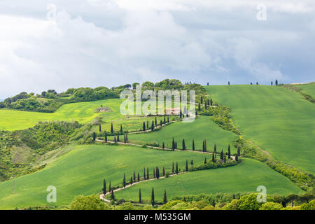 Sinuoso camino sobre una colina, en un paisaje italiano rural Foto de stock