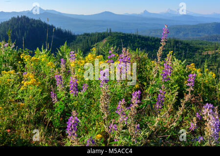 Ee.Uu., el Pacific Northwest, Oregon, el Bosque Nacional de Willamette, Tres Hermanas, Monte Washington visto desde el oeste
