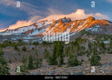 Monte Shasta, Pantera pradera, Bosque Nacional Shasta-Trinity, California Foto de stock