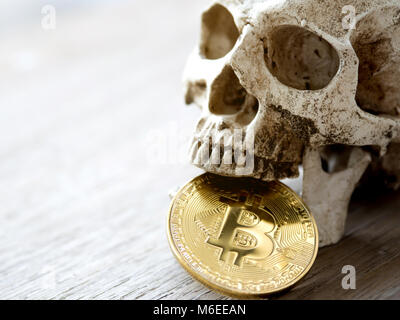 Cerca del cráneo morder bitcoin dorado sobre mesa de madera. El concepto de inversión de bitcoin y cryptocurrency. El sentimiento de decepción inversionista Foto de stock