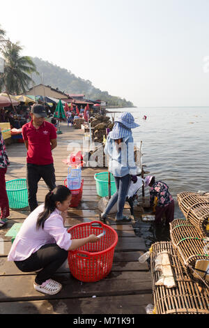 Kep Camboya - cangrejo pescadores trayendo la pesca de cangrejos en el mercado para la clasificación y venta por las mujeres en el embarcadero, Kep mercado de cangrejo, Camboya, Asia Foto de stock