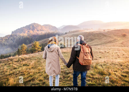 Las parejas ancianas en un paseo en el otoño de la naturaleza.