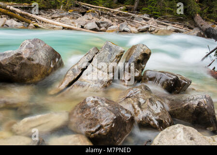 En el cañón del río Coquihalla Provincial Park, cerca de esperanza, British Columbia