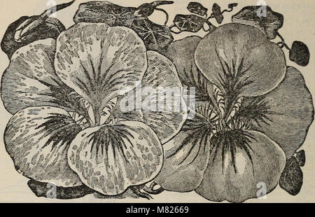 Buist's garden guide y Almanac (1902 - 1902) (19942854573)