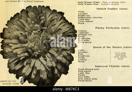 Dreer's Wholesale price list - semillas, plantas, bulbos, etc. (1913) (21067711121) Foto de stock
