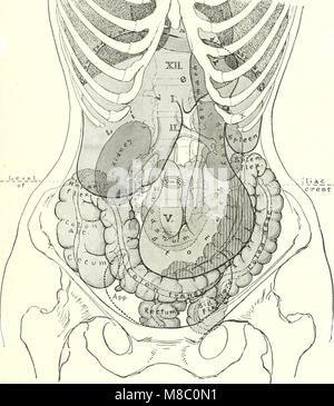 Enfermedades de los riñones, los uréteres y la vejiga, con especial referencia a las enfermedades de las mujeres (1922) (14762834851) Foto de stock