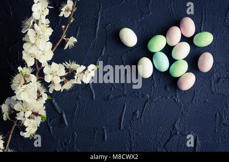 Huevos de chocolate de Pascua en colores pastel con rama de primavera de los cerezos en flor sobre fondo negro con lugar vacío para el texto. Felices vacaciones de Pascua. Top