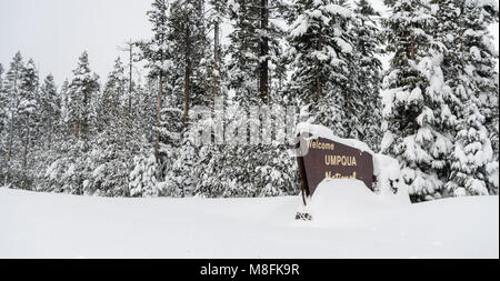La nieve fresca cubriendo el marcador bondary firmar entrando Umpqua National Forest Oregon
