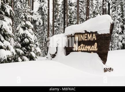 La nieve fresca cubriendo la frontera signo marcador entrando Winema National Forest Oregon