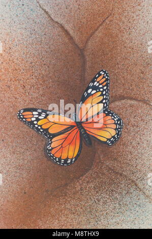 Mariposa Monarca