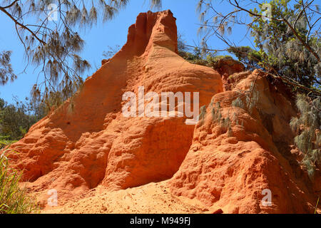 Sandy pinnacle formación de cañón rojo en el Parque Nacional Great Sandy en Queensland, Australia. Foto de stock